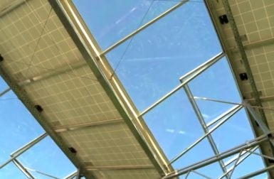 Panneaux photovoltaïques et kiwis : une combinaison gagnante