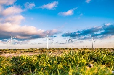 Les énergies renouvelables battent de nouveaux records de production