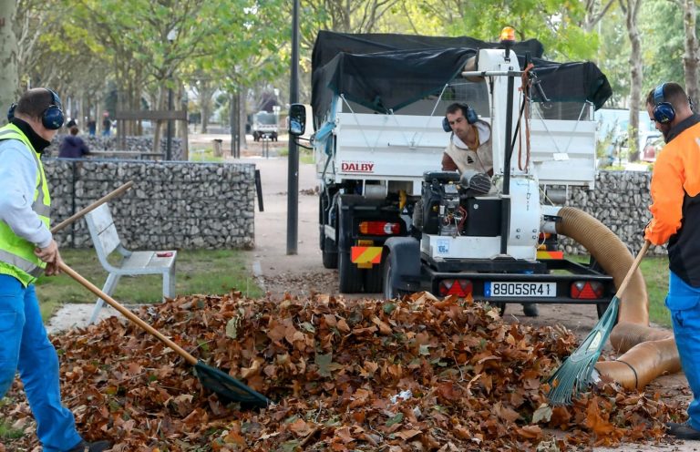 Biomasse : à Amiens, les feuilles mortes chauffent les habitants