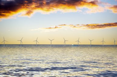 Impact environnemental des éoliennes offshore : globalement bénéfique pour la biodiversité