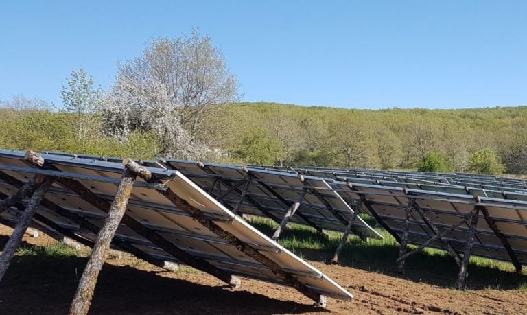 Première mondiale : le parc solaire sur bois brut de Céléwatt injecte ses premiers kWh