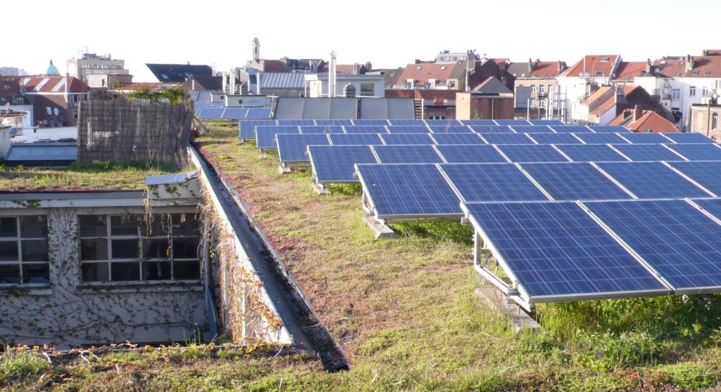 Gründach oder Solaranlage: Was ist die beste Lösung?
