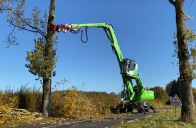 Bois énergie : des arbres dépérissant en bord de route vont chauffer 500 habitations