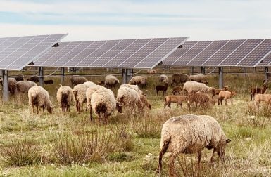Plateau du Larzac : malgré les oppositions le projet photovoltaïque géant est relancé