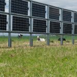 Agrivoltaïsme : l’Inrae et Engie vont tester les haies solaires bifaciales