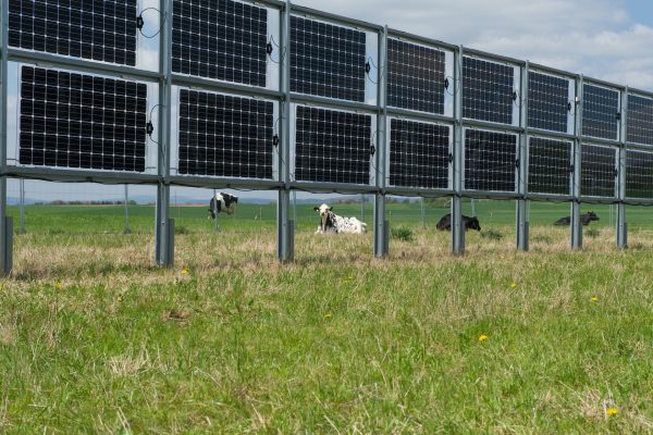 Agrivoltaïsme : l’Inrae et Engie vont tester les haies solaires bifaciales