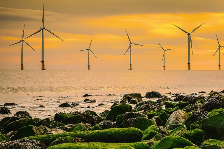 L’Europe veut booster les énergies marines renouvelables pour atteindre les objectifs climatiques