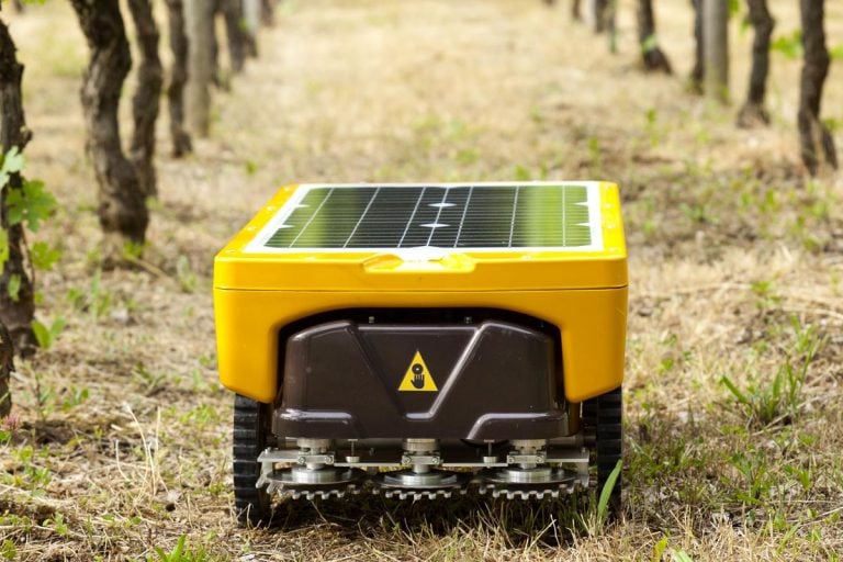 Que devient le robot tondeur électrique solaire autonome Vitirover ?