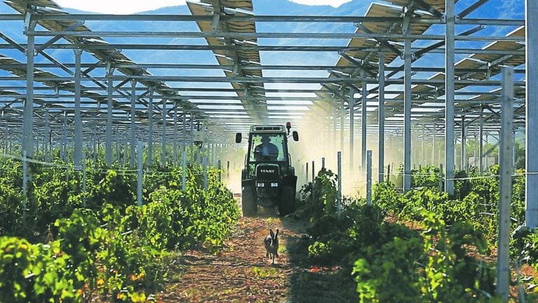 France : l’agrivoltaïsme plébiscité par un rapport de l’Assemblée nationale