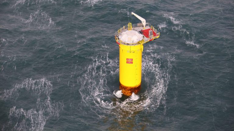Les fondations des éoliennes offshore pourraient-elles abriter la faune marine ?